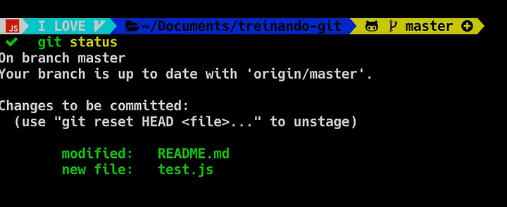 terminal após git add
