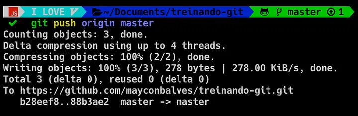 terminal após git push